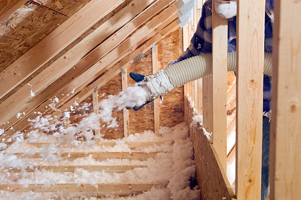 Best Blown-In Insulation in Ellisburg, NJ